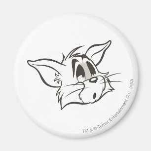 Íman Gato sonolento de Tom