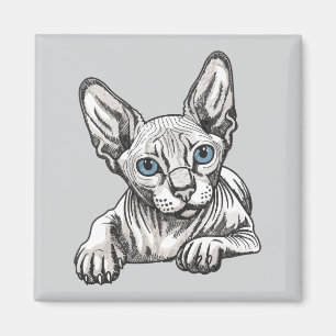 Íman Gato Sphynx sem pelos 