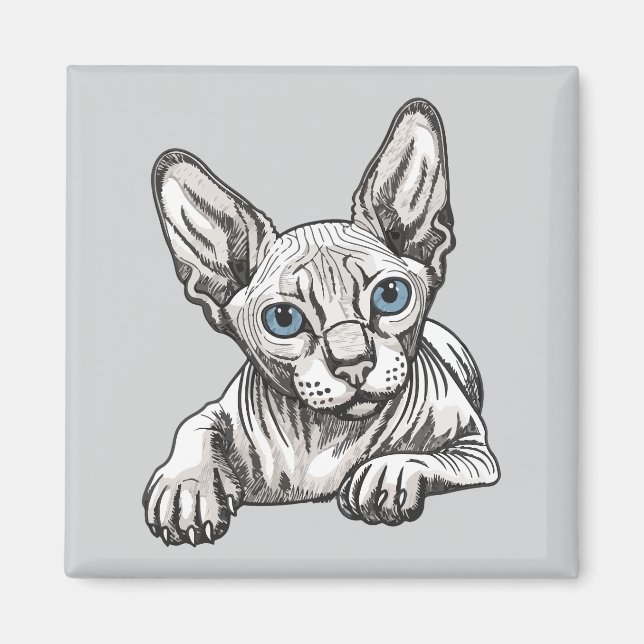 Íman Gato Sphynx sem pelos  (Frente)