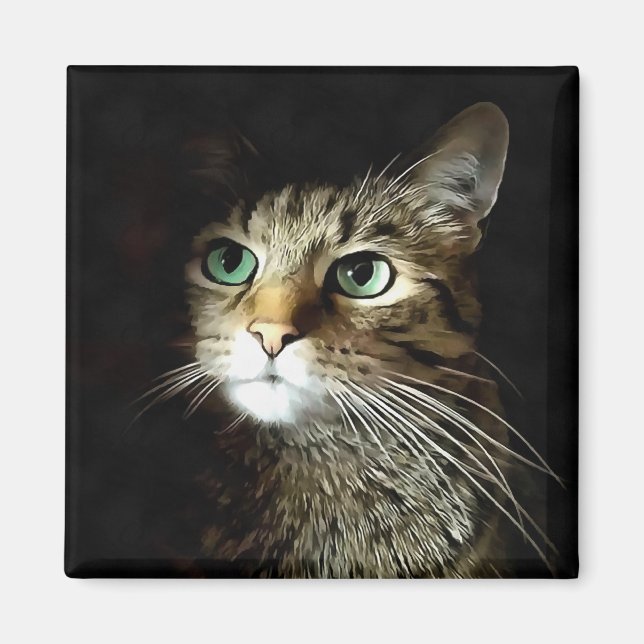 Íman Gato Tabby Com Olhos Verdes Isolado No Preto (Frente)
