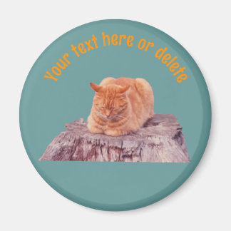 Íman Gato Tabby Laranja Adormecido Personalizado