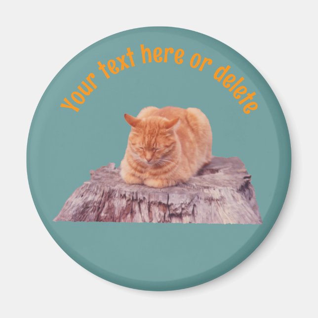 Íman Gato Tabby Laranja Adormecido Personalizado (Frente)