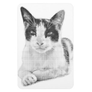 Íman Gato Tricolor Retro Meia-Tone
