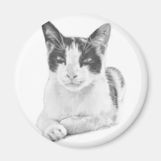 Íman Gato Tricolor Retro Meiotom (Frente)