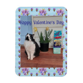 Íman Gato Tuxedo Engraçado Dia dos Namorados dos Gatos 
