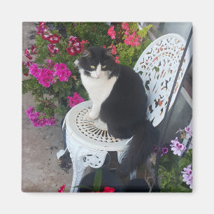 Íman Gato Tuxedo Fofo com Flores Bonitas Gatos Pretos
