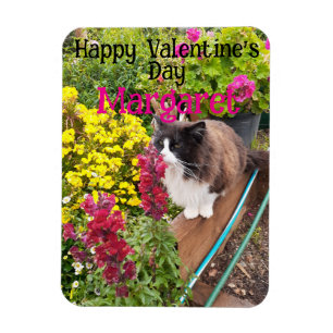 Íman Gato Tuxedo Fofo Valentines Divertido Nome da Espo