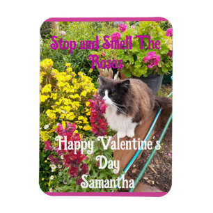 Íman Gato Tuxedo Fungando Flores Dia dos Namorados Engr