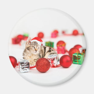 Íman Gato usando enfeite de Natal chapéu vermelho de Pa