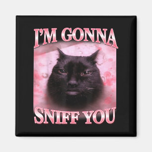 Íman Gato vai cheirar piada engraçada meme de gatos bra