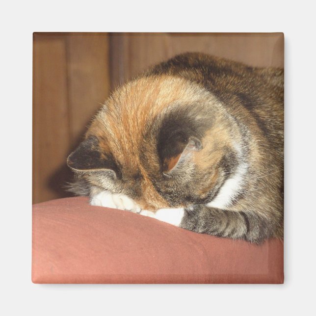 Íman Gato "Vermelho" dormindo na tosse (Frente)