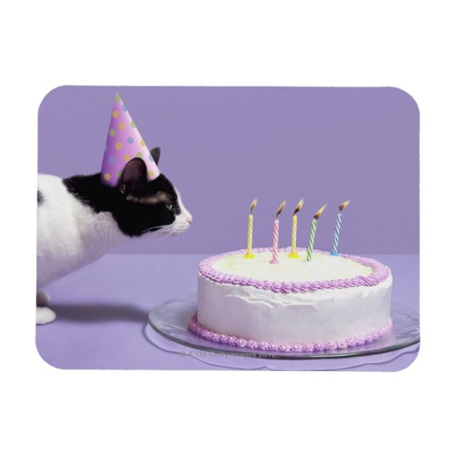 Íman Gato vestindo chapéu de aniversário soprando velas (Horizontal)