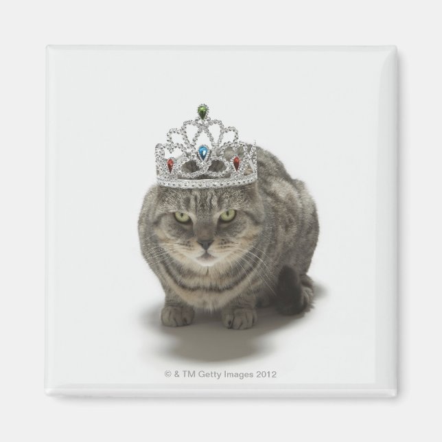 Íman Gato vestindo tiara (Frente)