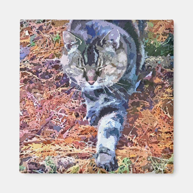ÍMAN GATOS (Frente)