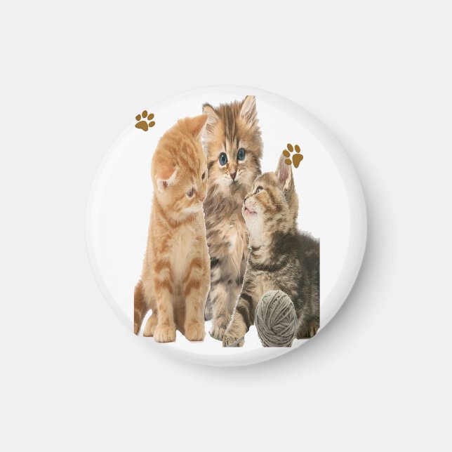 Íman Gatos (Frente)