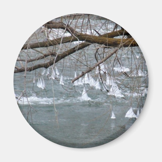 Íman Gatos (Frente)