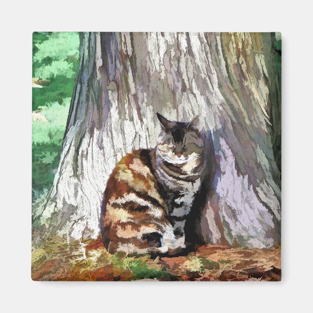 ÍMAN GATOS (Frente)