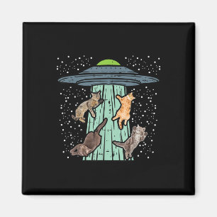 Íman Gatos Abduzidos Pela Ufo Engraçada Alienígena Espa