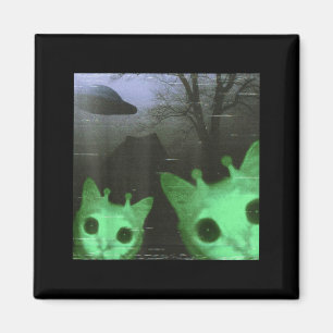 Íman Gatos Alien Ufo Engraçado Assustador Meme de Gato 
