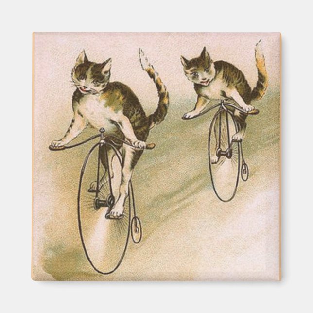 Íman Gatos Antigos em Bicicletas (Frente)