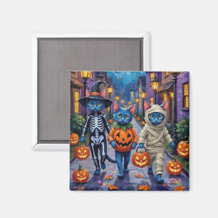 Íman Gatos Azul Russo em Fantasias de Halloween
