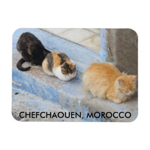 Íman Gatos, Chefchaouen, Marrocos