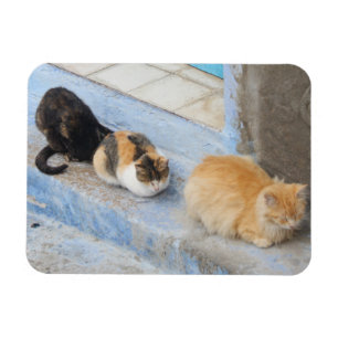 Íman Gatos, Chefchaouen, Marrocos