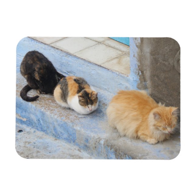 Íman Gatos, Chefchaouen, Marrocos (Horizontal)