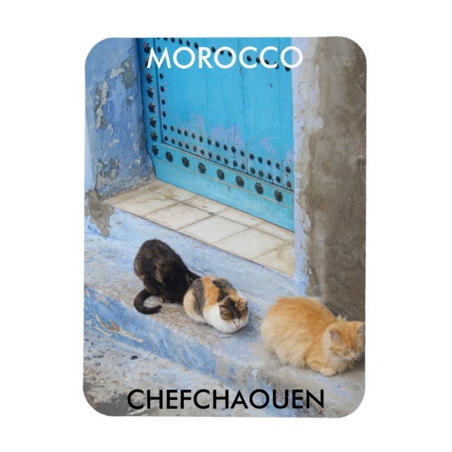 Íman Gatos, Chefchaouen, Marrocos (Vertical)