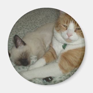 Íman Gatos Cons
