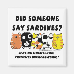 Íman Gatos da sardinha