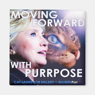 Íman Gatos Damas para Hillary Purpose Magnet