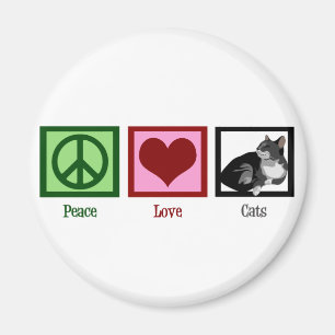 Íman Gatos de Amor pela Paz