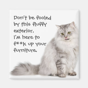 Íman Gatos de Badass