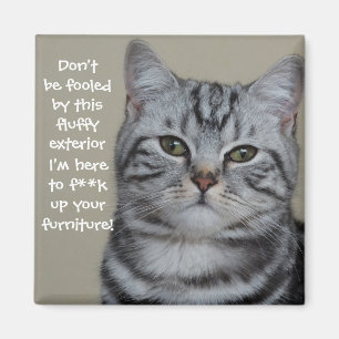 Íman Gatos de Badass