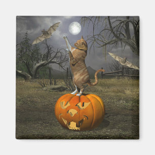 Íman Gatos De Batata De Gato De Laranja De Halloween