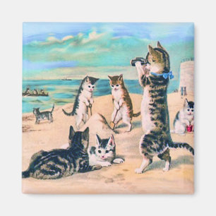 Íman Gatos de praia