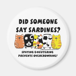 Íman Gatos De Sardine