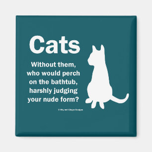 Íman Gatos e banheiras