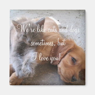 Íman Gatos e cães amam o Magnet