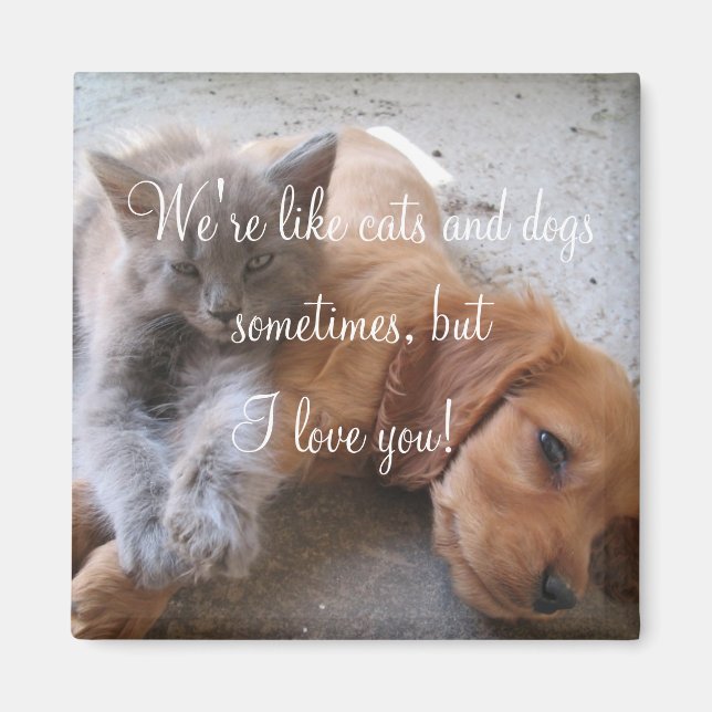 Íman Gatos e cães amam o Magnet (Frente)