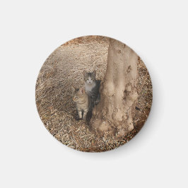 ÍMAN GATOS EM MADEIRA