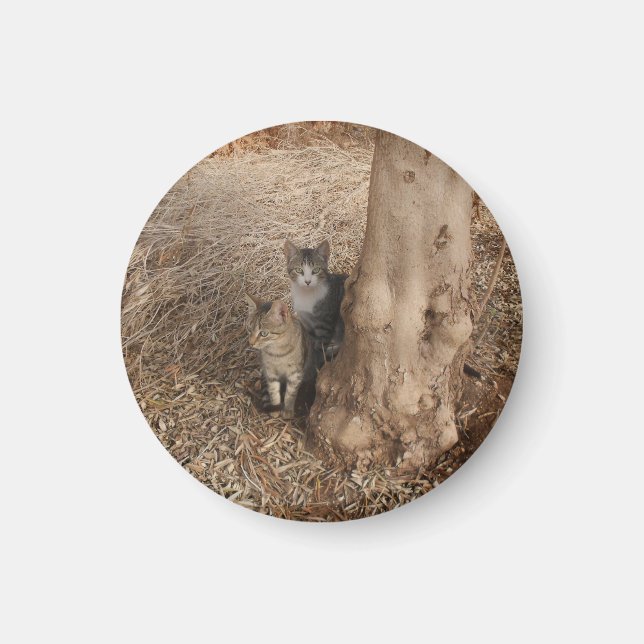 ÍMAN GATOS EM MADEIRA (Frente)