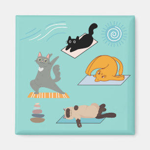 Íman Gatos Engraçados no Yoga