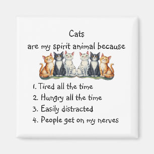 Íman Gatos engraçados são animais espirituais humor ado