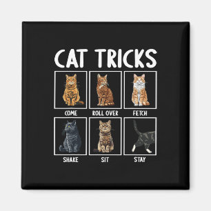 Íman Gatos Engraçados Truques De Gato