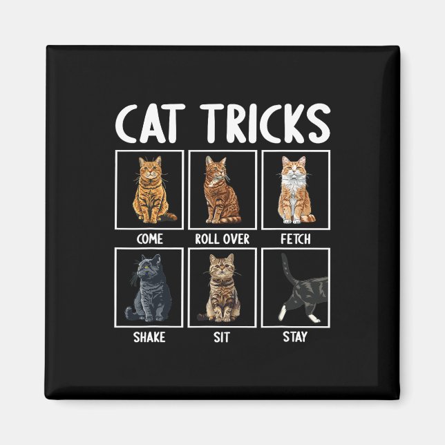Íman Gatos Engraçados Truques De Gato (Frente)