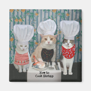 Íman Gatos/gatinhos do cozinheiro chefe do gourmet
