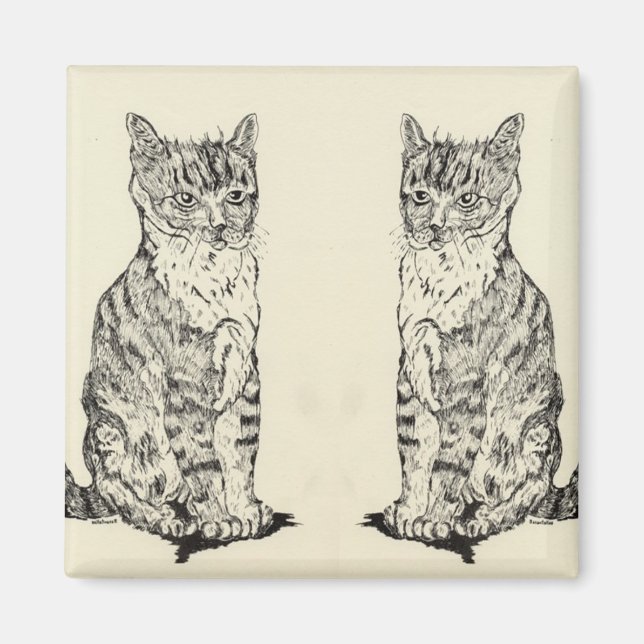 Íman Gatos Gêmeos De Magnetos De Cozinha (Frente)