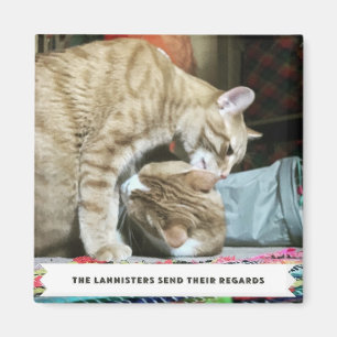 Íman Gatos Laranja